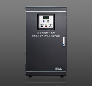 消防應急燈具專用應急電源 (2)